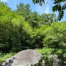 무릉도원면-1 이미지