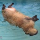 내게소중한사람들 이미지