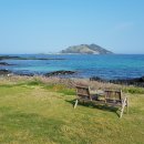 코코스협재 이미지