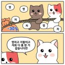 [더네이쳐홀딩스] 투자 中 최근 잡상들