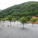 횡성 산울림오토캠핑장 이미지