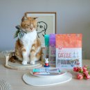 초이스덴탈 | 고양이껌 캣즐 양치와 입냄새, 치석 제거에 도움 주는 덴탈 간식