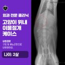 신영통동물병원 이미지