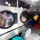 서비스세탁 이미지