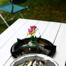 양수초등학교 이미지