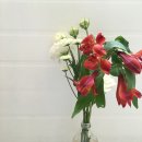 GD동물병원 이미지