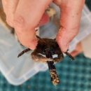 송정동 공영주차장 화장실 이미지