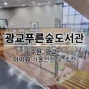 [수원, 광교] 광교푸른숲도서관 방문 후기 총정리 (4월 7일, 벚꽃 상황 포함)