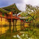 순천-56호 이미지