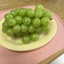 부산여행가면 꼭 들러! 부산진구 아기자기 소품점 - 페이퍼가든, 오월상점, CRR, 별꽃상점, 아비베르