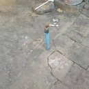 11/18 (화산동 김원근/ 교동 조윤자,신종석,차종호,남유은/ 봉양읍 엄옥자,미당1리경로당) 이미지