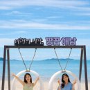 청용농장 | 2026 농촌체험컨설팅의 패러다임 시프트: 왜 '팜투어 디렉팅'이 유일한 해답인가?