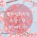 블라썸 영어원서학원 이미지