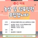 지마트 이미지