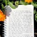 김녕안트레 이미지