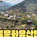 의림분식