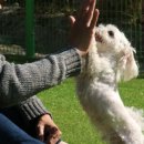 권순호농장 이미지