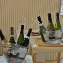 데일리와인 평택점 | 포항에서 와인 시음회라니!? 포항 와인은 역시 비노 빌라쥬 Vino Village.