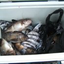 성공농장 이미지