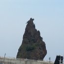울릉도 여행 2박 3일, 3일차 여행 후기 (2016. 05. 24~26)