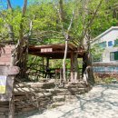 오두산 치유숲 이미지