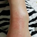 루체안경 이미지