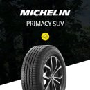 드래곤카센타 이미지