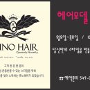 헤어박스타일리스트 이미지