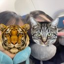 태화카서비스 | 베트남 | 나트랑 3박5일 1일차 일정 (김해공항, 르모어호텔, 김청, 니니네일룸, 앙반미, 담시장, 보마...