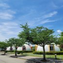 마루아라 하우스 이미지