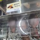 cu대치세정점 이미지