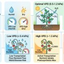 포그팜 | 스마트팜에서 VPD 활용에 대해