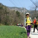 변산쇠뿔바위봉, 변산반도채석강, 새만금방조제드라이브 이미지