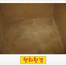 현화환경 이미지