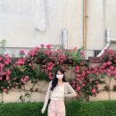 르브아 이미지
