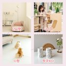 (주)펫앤펫츠 이미지