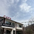 포레스트 펜션 | [제천] 리솜포레스트, 박달재 근처 숙소 펜션 '포레스트펜션' 내돈 내산 솔직 후기