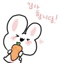 논산 훈련소 입대 후기 및 입영식 | 수료식 | 뒷이야기