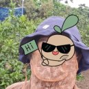 온주농장 이미지