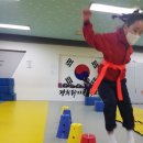 경희 라이온 태권도장 이미지