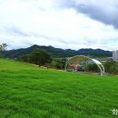 화순 남산공원 놀러오세요. 이미지