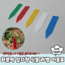 식물A 이미지