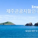 대한렌트카(주) 이미지