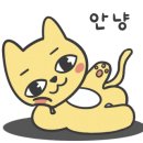 냐옹이네꽃집 이미지