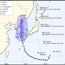태풍마트 이미지