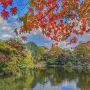 지금 단풍이 가장 고울 때, 종묘부터 4대 궁궐까지 무료로 즐겨요! (~11.9) 이미지