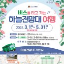 전망대로 이미지