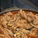 우다다애견펜션 이미지