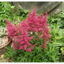 노루마당 이미지