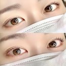 스노우브로우